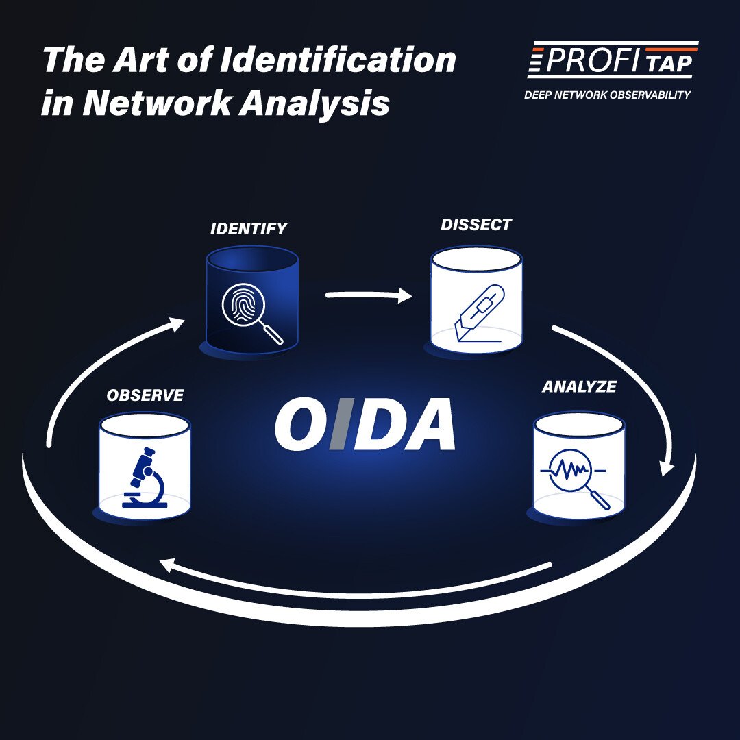 The Art of Identification in Network Analysis: A Deep Dive into the OIDA Framework